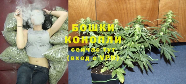 СК Абаза